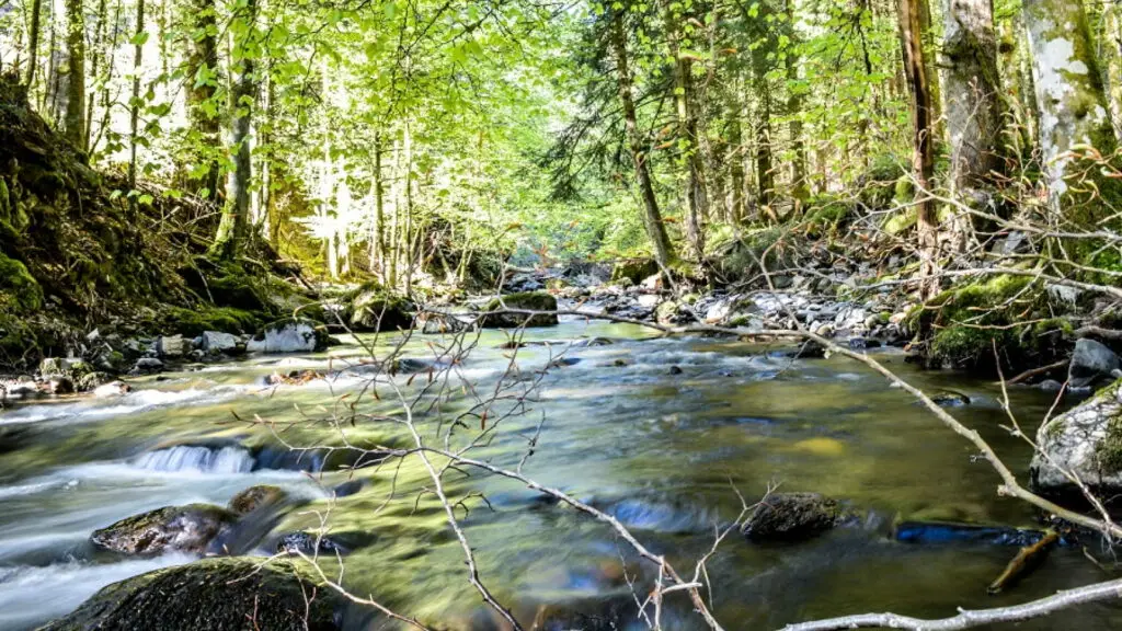 Gorges de l'Alagnon